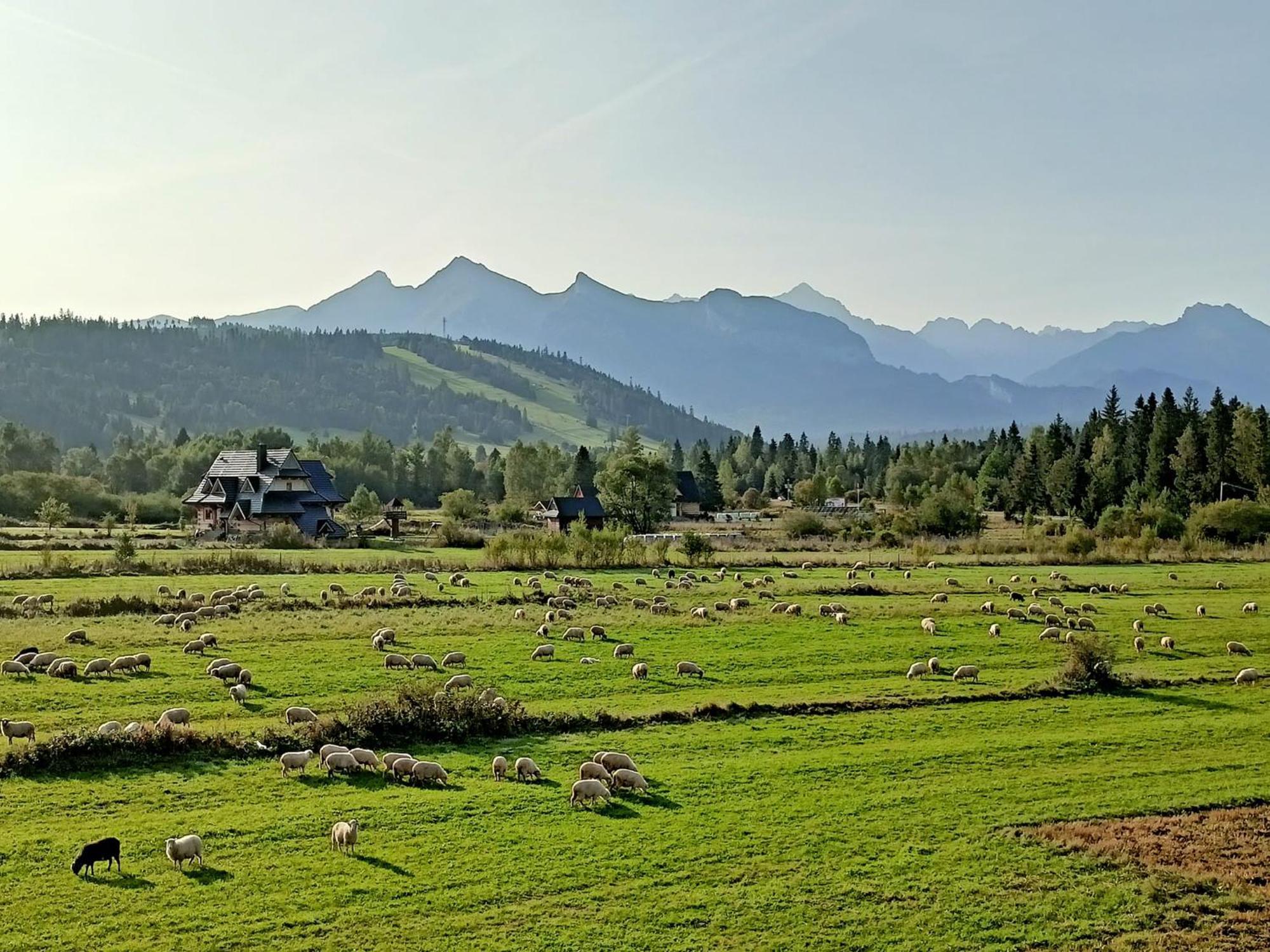 Domek Z Goralska Dusza Sleboda Jurgów エクステリア 写真